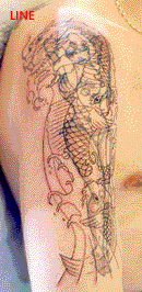 Cover up 2, the lines